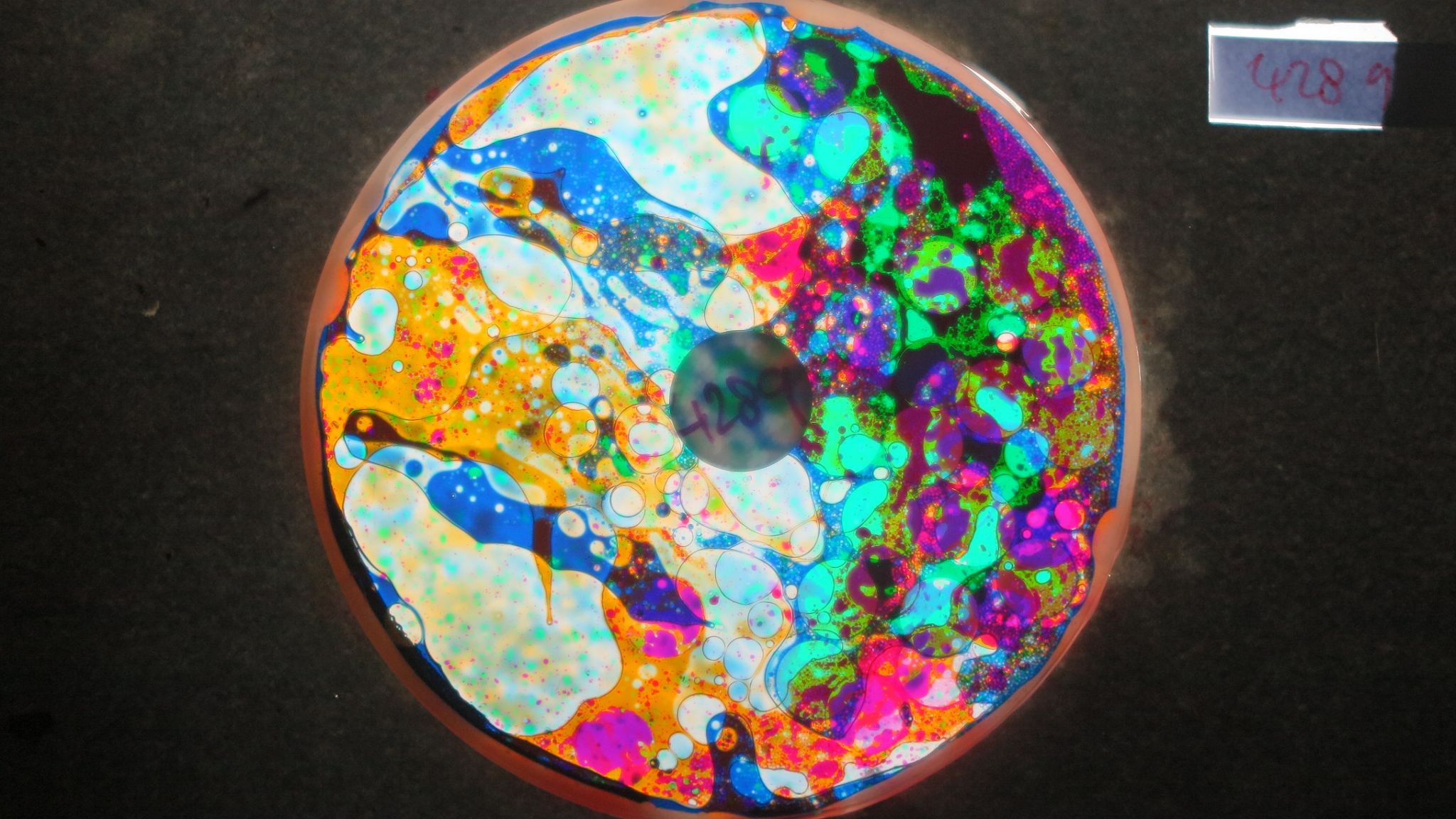 BV4289 bubble vision oil wheel